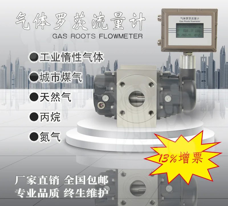 电池供电罗茨流量计产品图